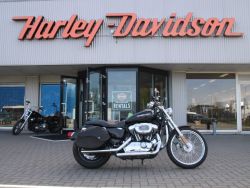 HARLEY-DAVIDSON - XL1200 Custom