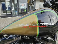 HARLEY-DAVIDSON - FXSBSE Break Out CVO