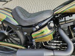 HARLEY-DAVIDSON - FXSBSE Break Out CVO