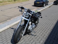 HARLEY-DAVIDSON - XL883 Standard