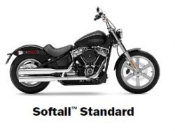 FXST Softail Standard - HARLEY-DAVIDSON