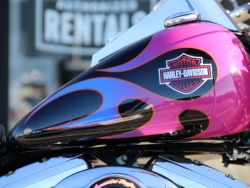 HARLEY-DAVIDSON - FLSTC HERITAGE SOFTAIL CLASSIC