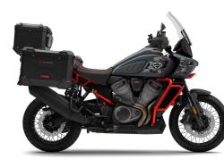 RA1250SE CVO Pan America - HARLEY-DAVIDSON