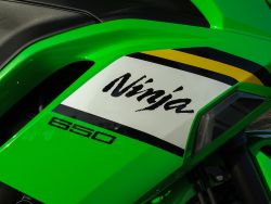 KAWASAKI - NINJA 650 KRT EDITION