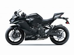 Ninja ZX - 4 R