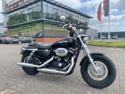 XL1200CB LIMITED SPORTSTER