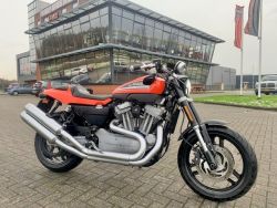 XR1200 XR1200 X XR 1200 - HARLEY-DAVIDSON