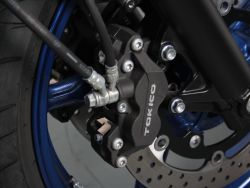SUZUKI - SV650 Suzuki SV650 2024