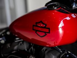 HARLEY-DAVIDSON - FXFBS FXFBS Fat Bob 114 SOFTAI