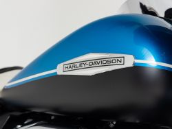 HARLEY-DAVIDSON - FLT Electra Glide Rivival