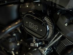 HARLEY-DAVIDSON - FXBBS Street Bob 114 Solid Col