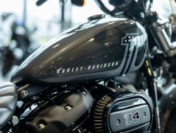 HARLEY-DAVIDSON - FXBBS Street Bob 114 Solid Col