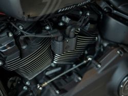HARLEY-DAVIDSON - FXBBS Street Bob 114 Solid Col