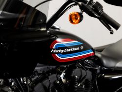 HARLEY-DAVIDSON - XL1200N Iron