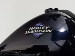 HARLEY-DAVIDSON - FXLRS SOFTAIL Low Rider S Soli