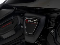 HARLEY-DAVIDSON - RA1250ST Vivid Black