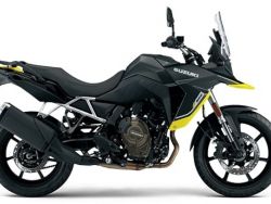 SUZUKI - V-STROM 800