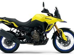 SUZUKI - V-STROM 800 DE