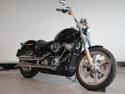 HARLEY-DAVIDSON - SOFTTAIL STANDARD
