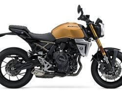 SUZUKI - GSX-8T