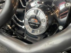 HARLEY-DAVIDSON - FLSTF Fat Boy 120R