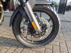TRIUMPH - Tiger 1200 GT Explorer Tiger 1