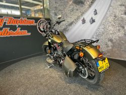 HARLEY-DAVIDSON - FLSS Softail Slim S
