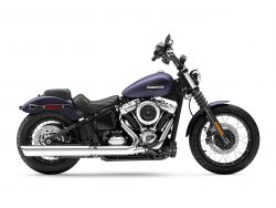 FXBB STREET BOB