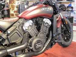 INDIAN - Scout Bobber Official Indian M