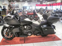 INDIAN - Pursuit Dark Horse Official In