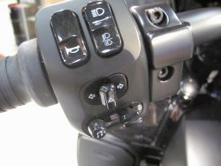 INDIAN - Pursuit Dark Horse Official In