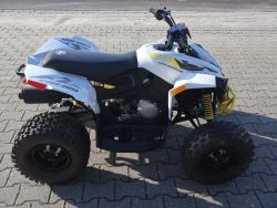CAN-AM - Renagade 110 Kinder quad zonde