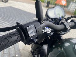BENELLI - LEONCINO 500