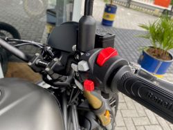 BENELLI - LEONCINO TRAIL 800