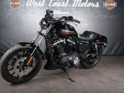 HARLEY-DAVIDSON - XL883R Sportster 883 R Vivid B