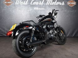 HARLEY-DAVIDSON - XL883R Sportster 883 R Vivid B