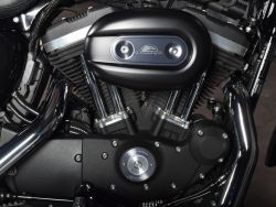 HARLEY-DAVIDSON - XL883R Sportster 883 R Vivid B