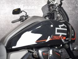 HARLEY-DAVIDSON - RA1250ST Pan America 1250 ST