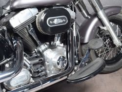 HARLEY-DAVIDSON - FLS103 Softail Slim