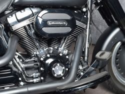 HARLEY-DAVIDSON - FLSTFBS Fat Boy Special