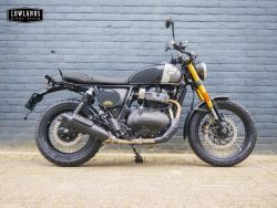 Bear 650 Golden Shadow