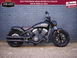 Scout Bobber