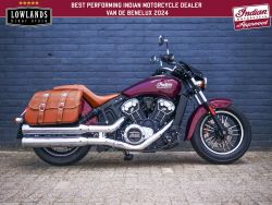 Scout 1200