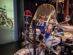 HARLEY-DAVIDSON - Servicar